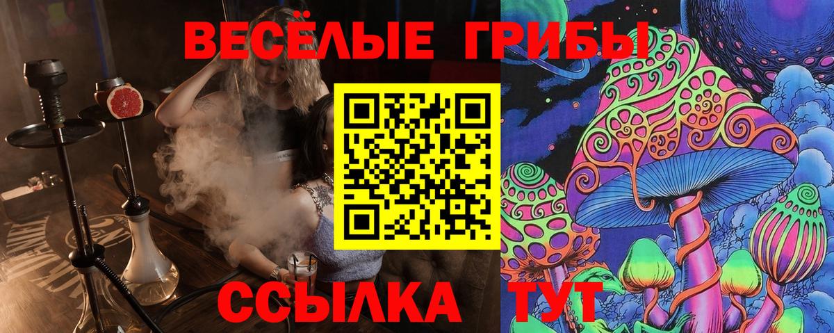 Бийск  Галлюциногенные грибы ЛСД  Вход с VPN 